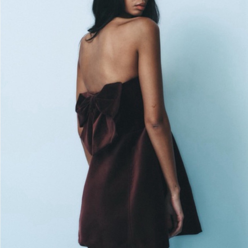 Zara Strapless Dress with Bow in Plum